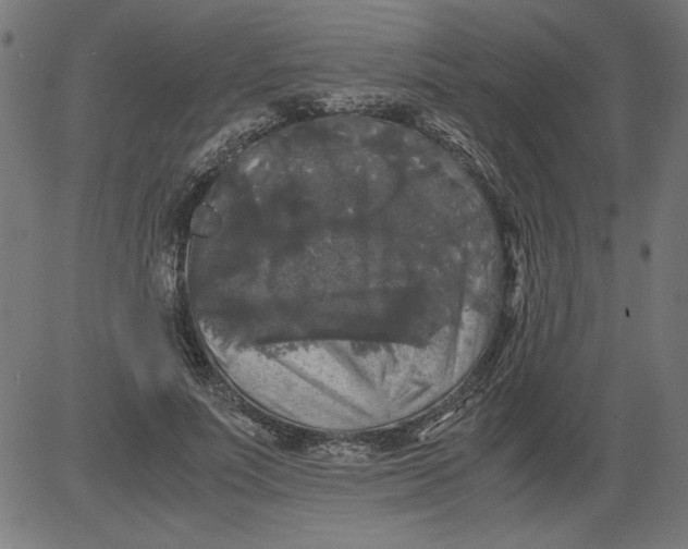 X0000081390691200702020256