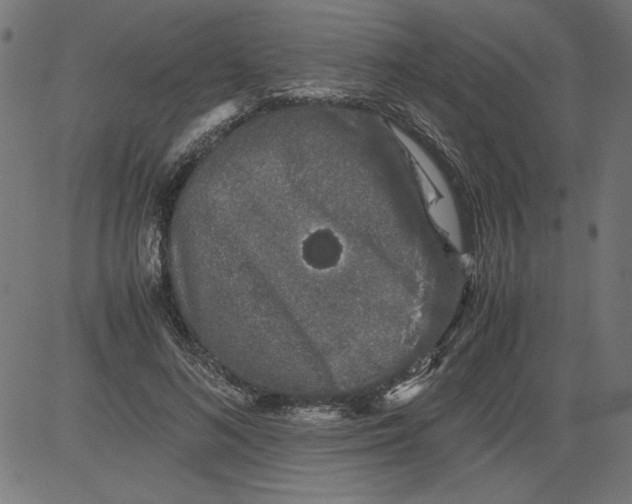 X0000081390692200702020256