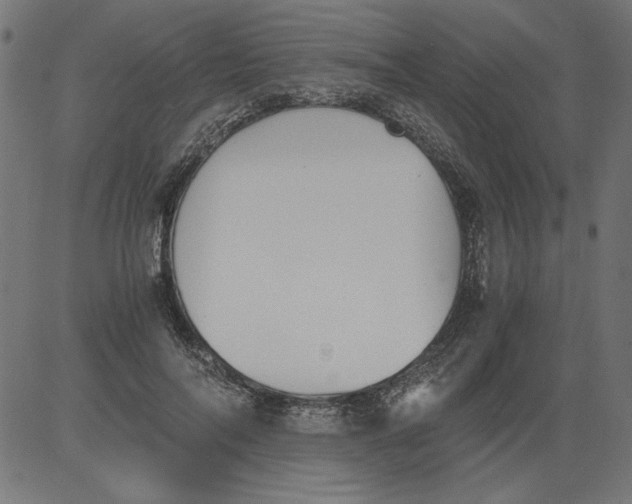 X0000081390694200702020256