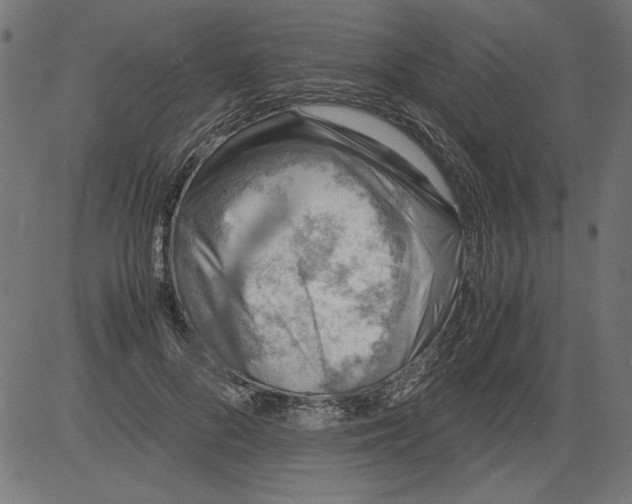 X0000081390696200702020255