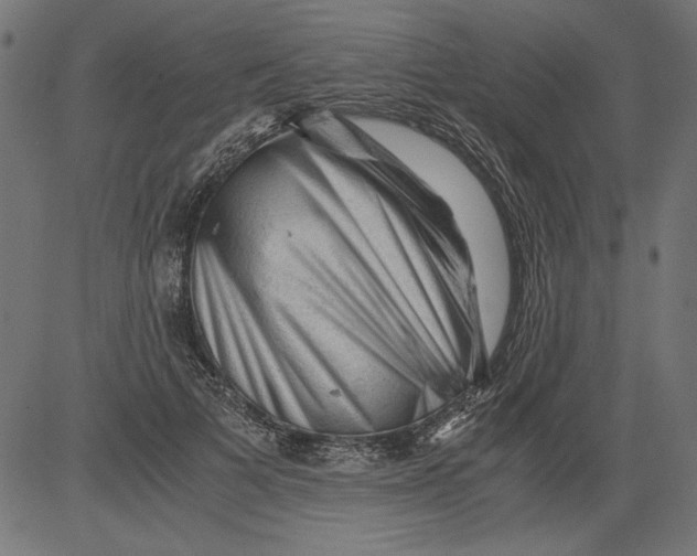 X0000081390697200702020255