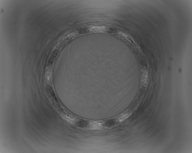 X0000081390701200702020255