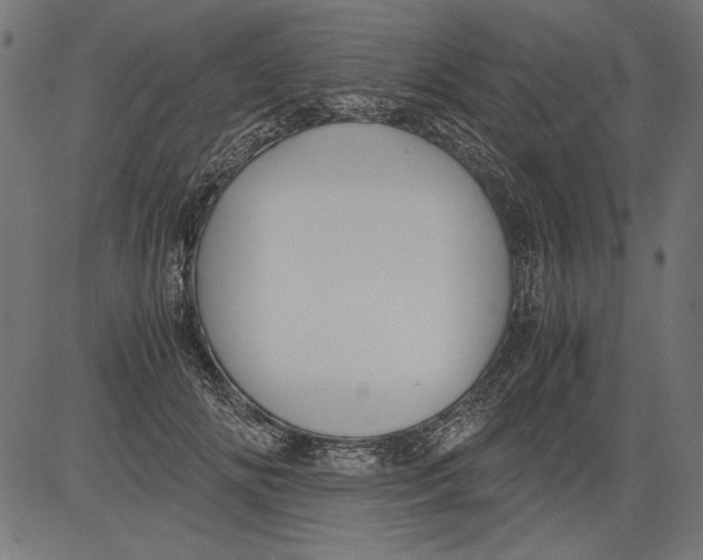 X0000081390702200702020255