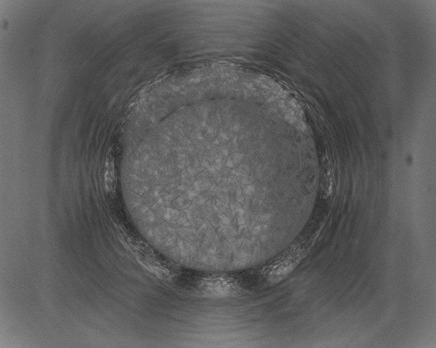 X0000081390704200702020255