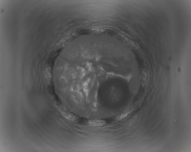 X0000081390707200702020255