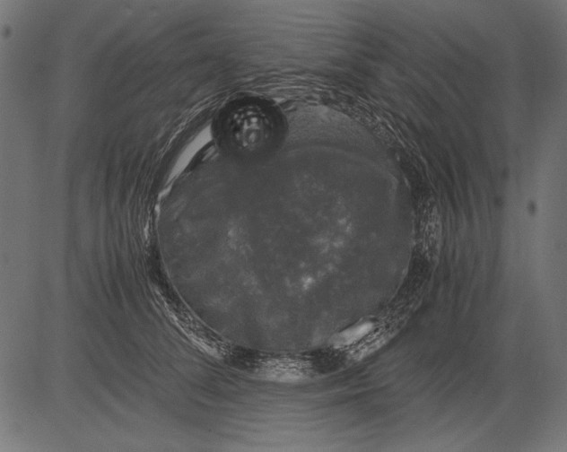 X0000081390708200702020255