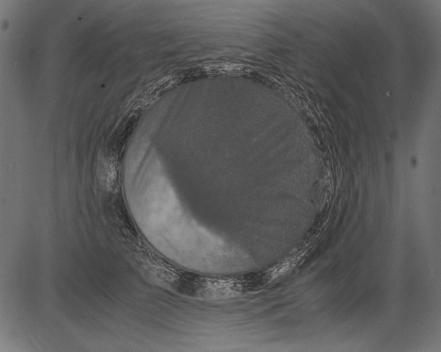 X0000081390709200702020255