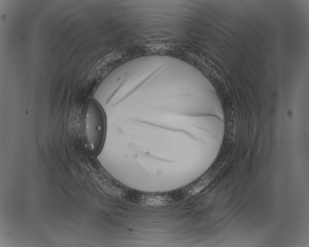 X0000081390710200702020255