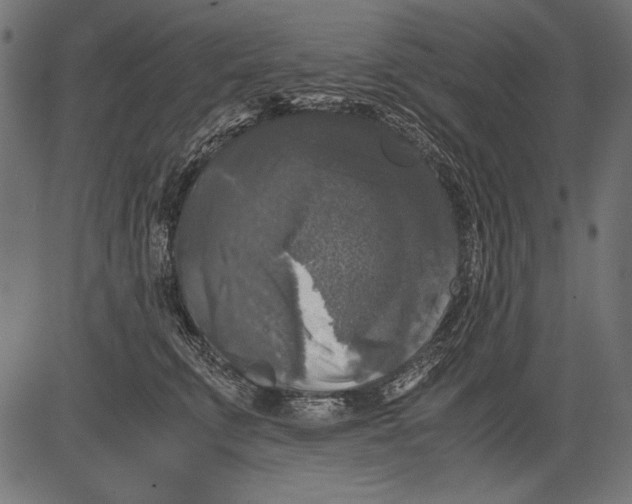 X0000081390711200702020255