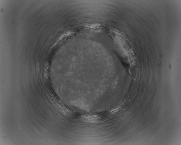 X0000081390712200702020255