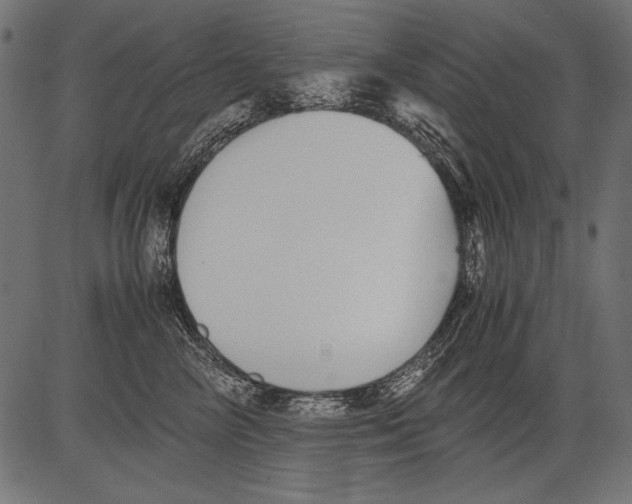 X0000081390714200702020255