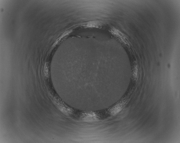 X0000081390715200702020255