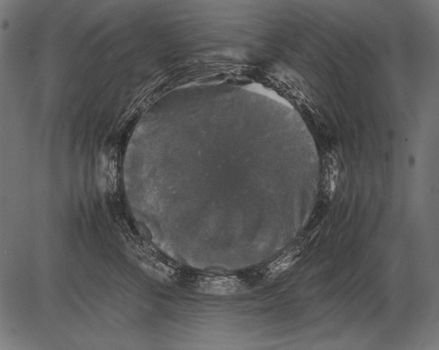 X0000081390716200702020255