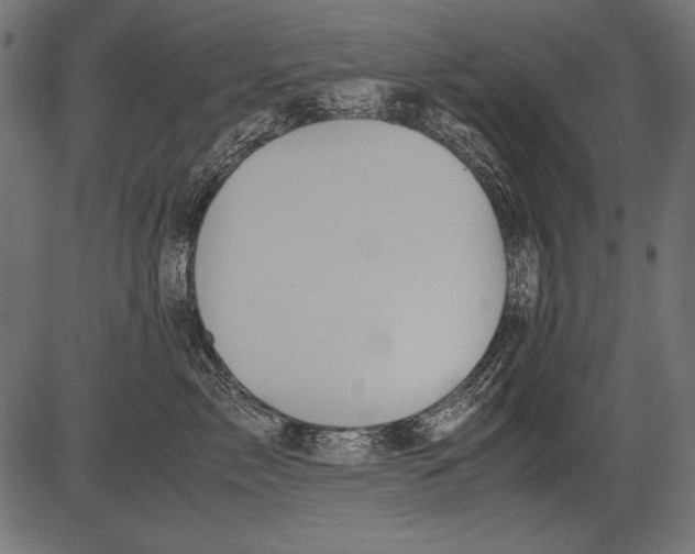 X0000081390717200702020255