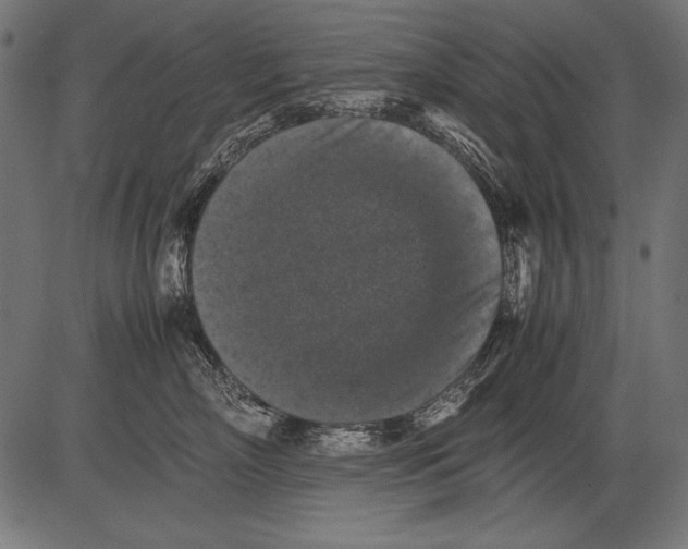 X0000081390718200702020255