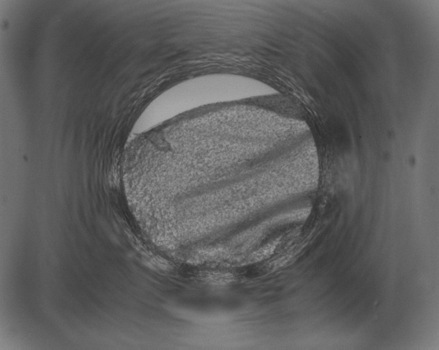 X0000081390719200702020255