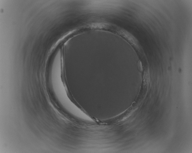 X0000081390722200702020254