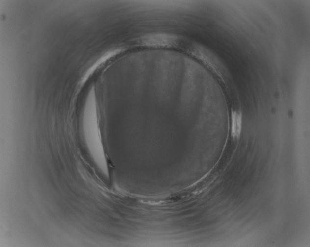 X0000081390723200702020254