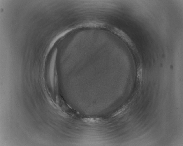 X0000081390724200702020254