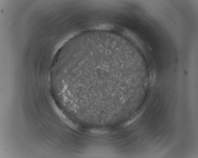 X0000081390725200702020254