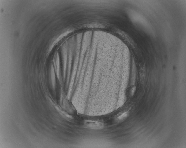 X0000081390727200702020254