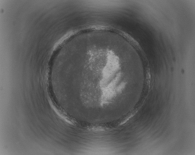 X0000081390730200702020254