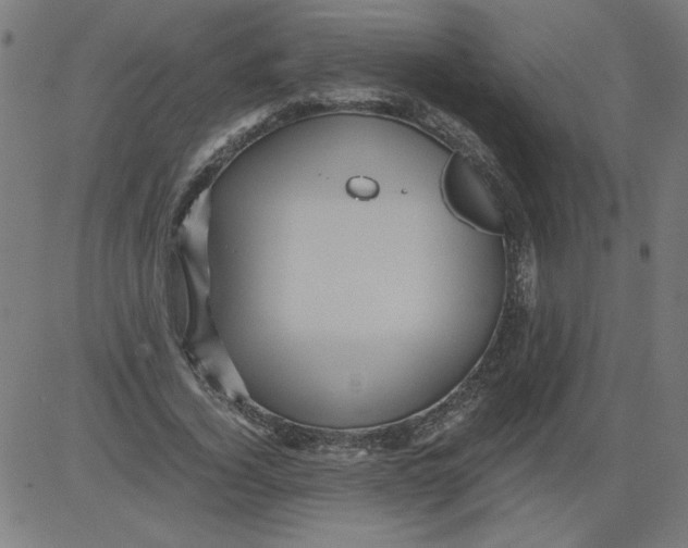 X0000081390732200702020255