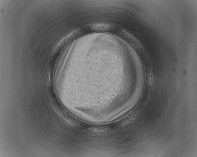 X0000081390733200702020255