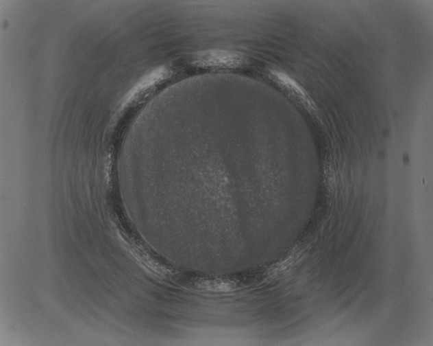 X0000081390735200702020255