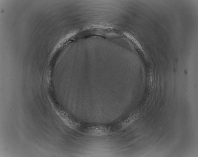 X0000081390736200702020255