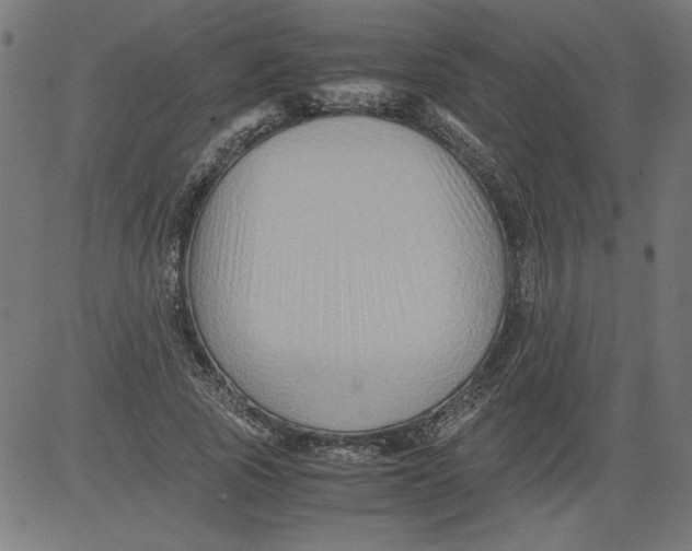 X0000081390737200702020255