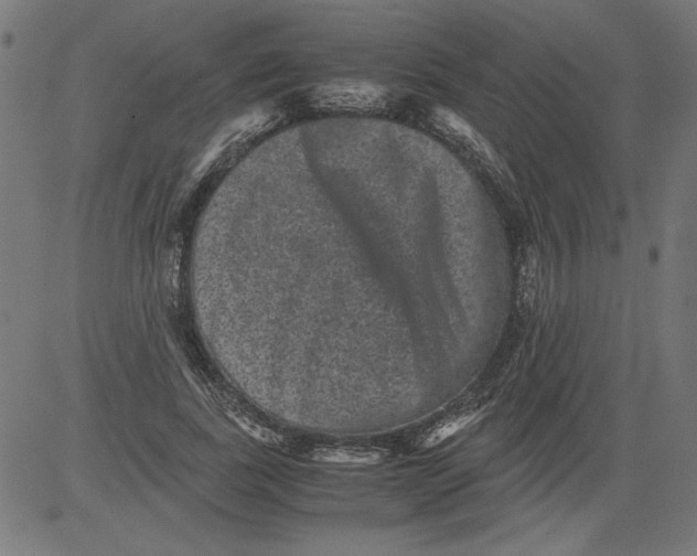 X0000081390739200702020255