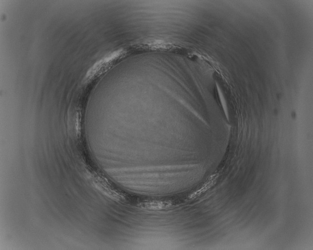 X0000081390740200702020255