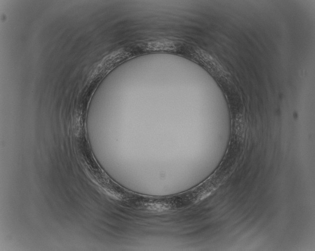 X0000081390741200702020255