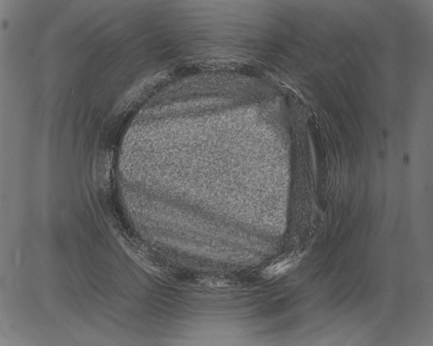 X0000081390742200702020255