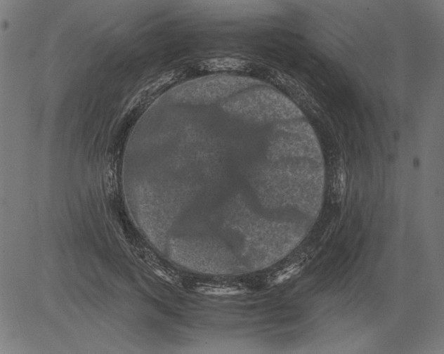 X0000081390743200702020255