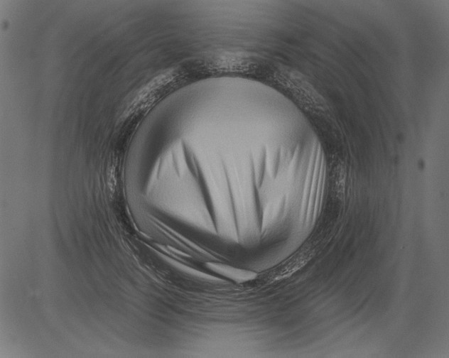 X0000081390746200702020255