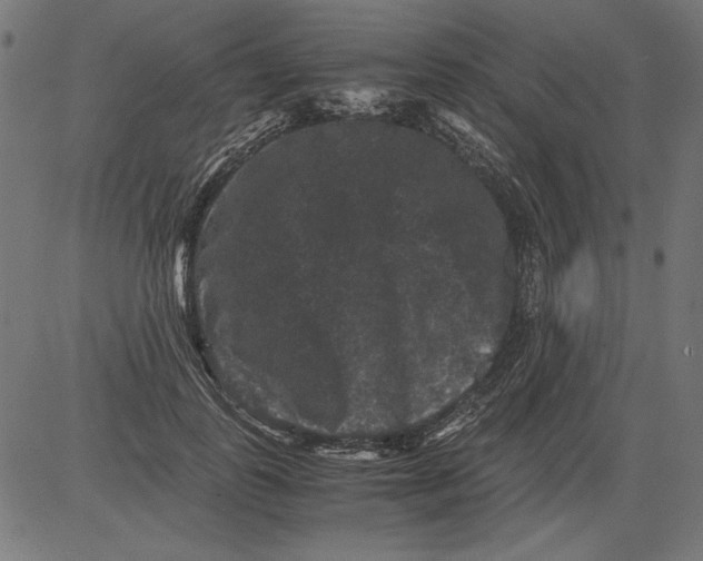 X0000081390747200702020255