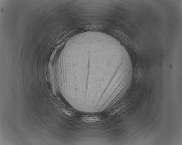 X0000081390749200702020255