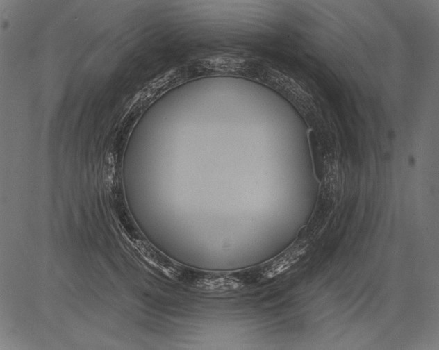 X0000081390752200702020255