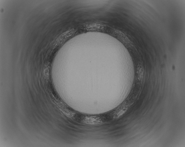 X0000081390753200702020255