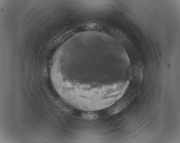 X0000081390754200702020255