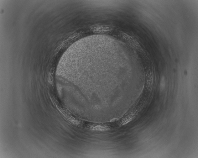 X0000081390755200702020255