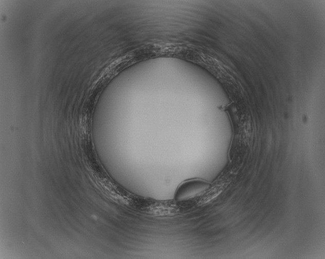 X0000081390756200702020255