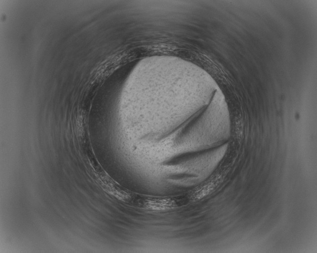 X0000081390757200702020255