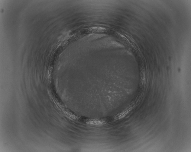 X0000081390759200702020255