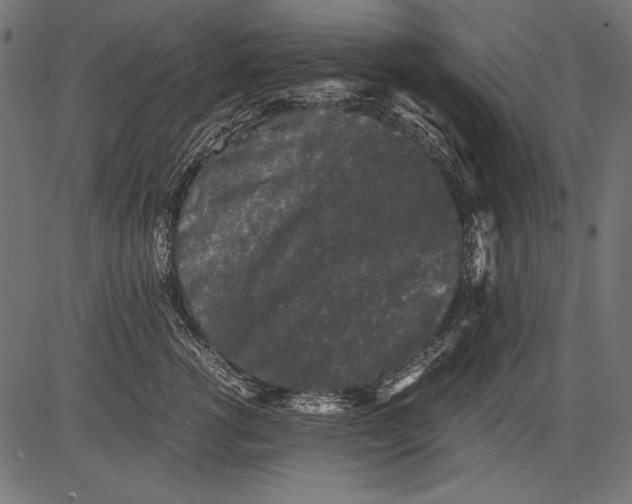 X0000081390762200702020255