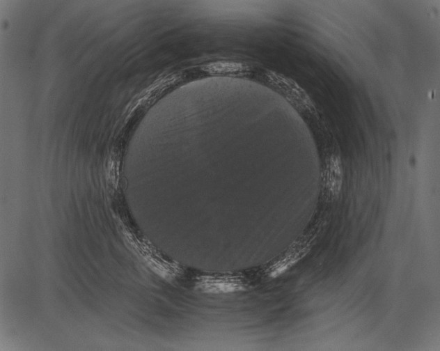 X0000081390763200702020255