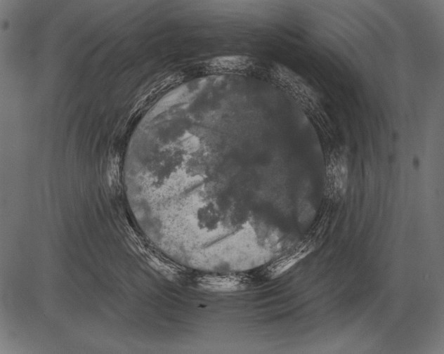 X0000081390765200702020255