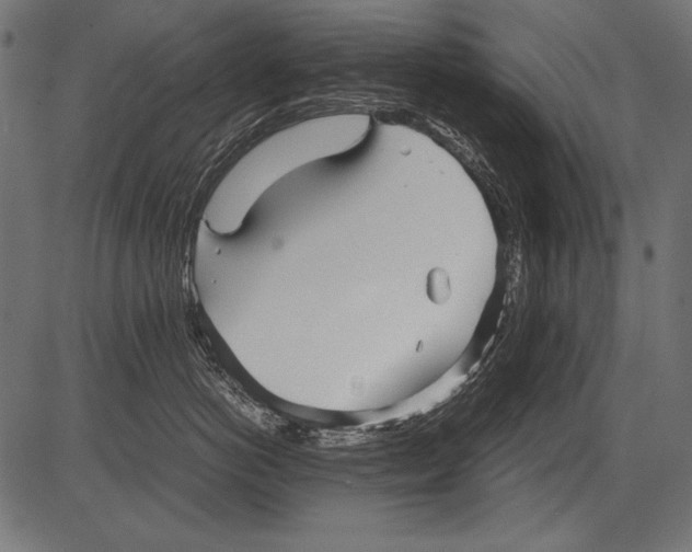 X0000081390766200702020255